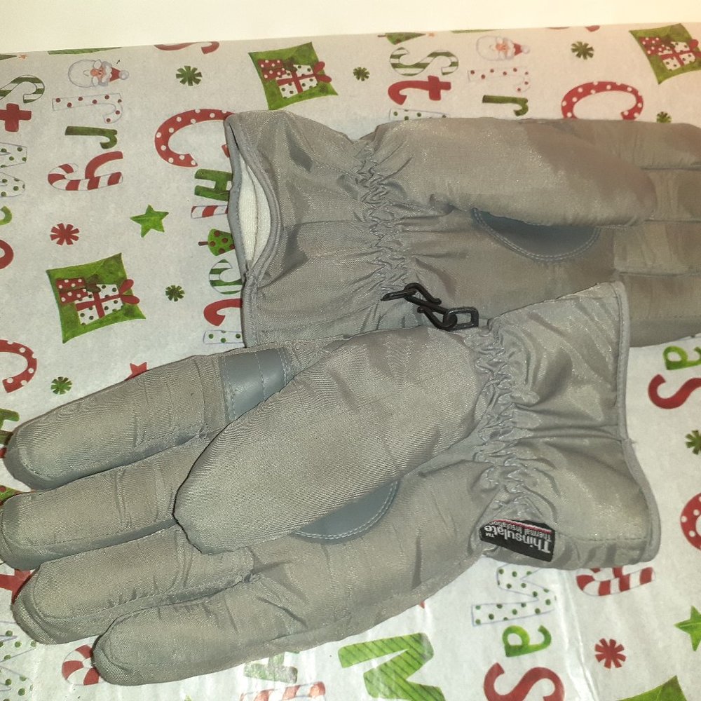 Thinsulate Winter Gloves Gray